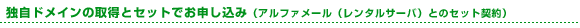 独自ドメインの取得とセットでお申し込み(アルファメール(レンタルサーバ)とのセット契約)