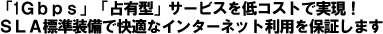 「1Gbps」「占有型」サービスを低コストで実現！SLA標準装備で快適なインターネット利用を保証します